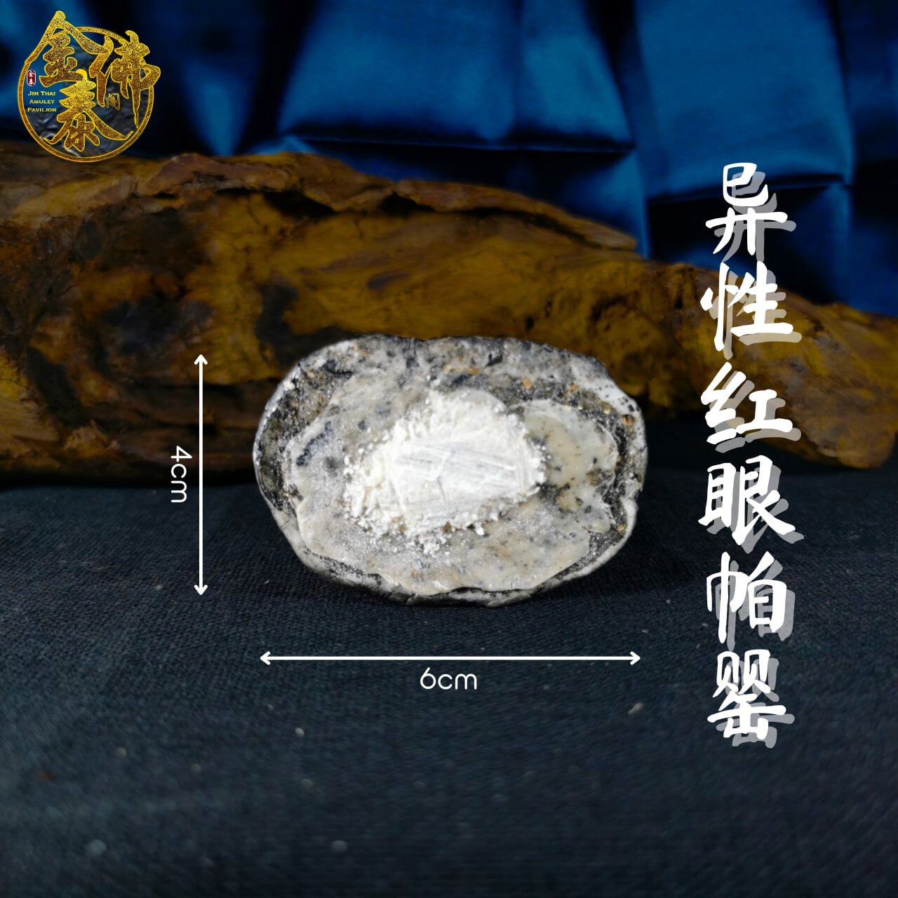 ARCHAN RICH阿赞沥手模异性红眼帕罂 | SAN Pin Selection