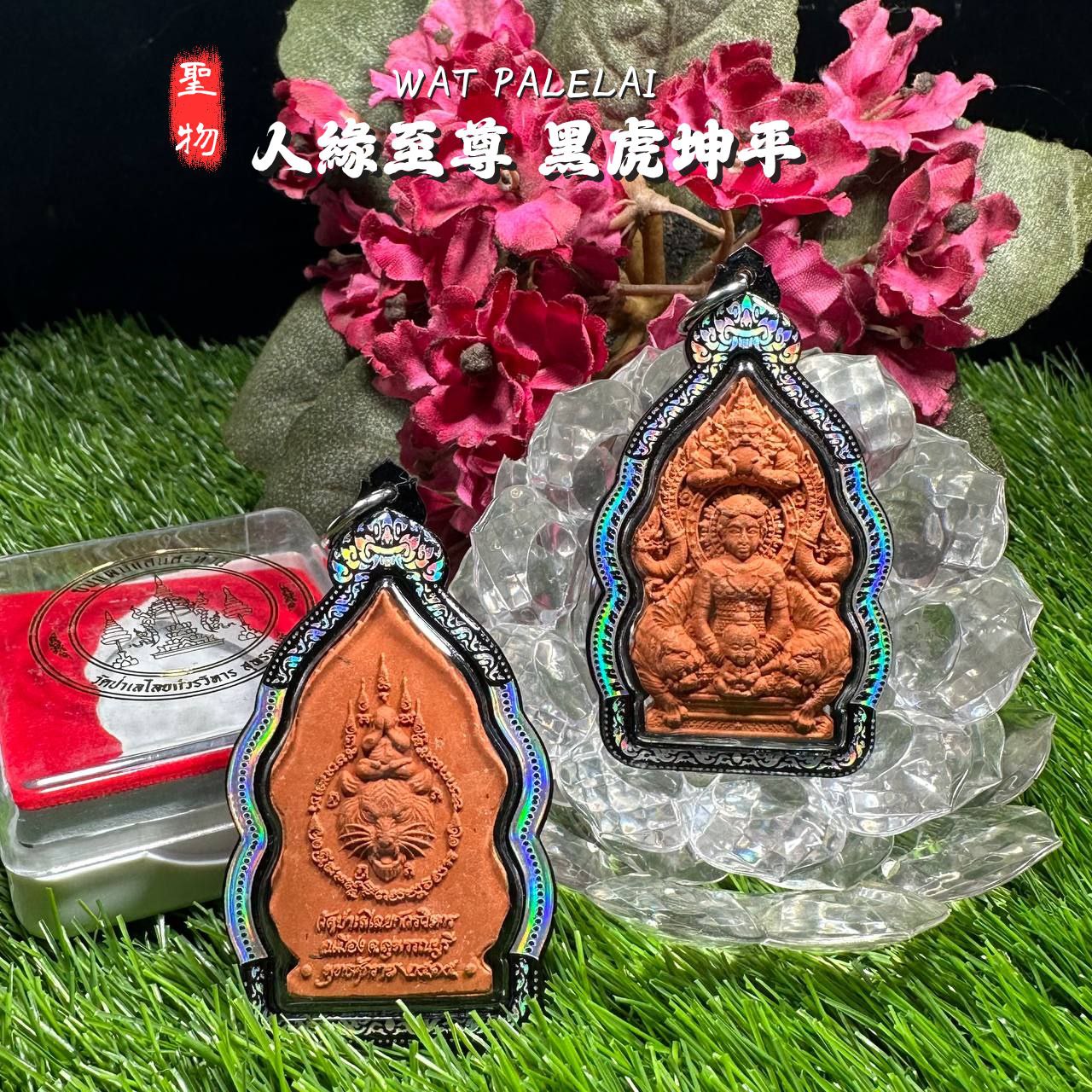 WAT PALELAI黑虎坤平（橙色肉） | SAN Pin Selection