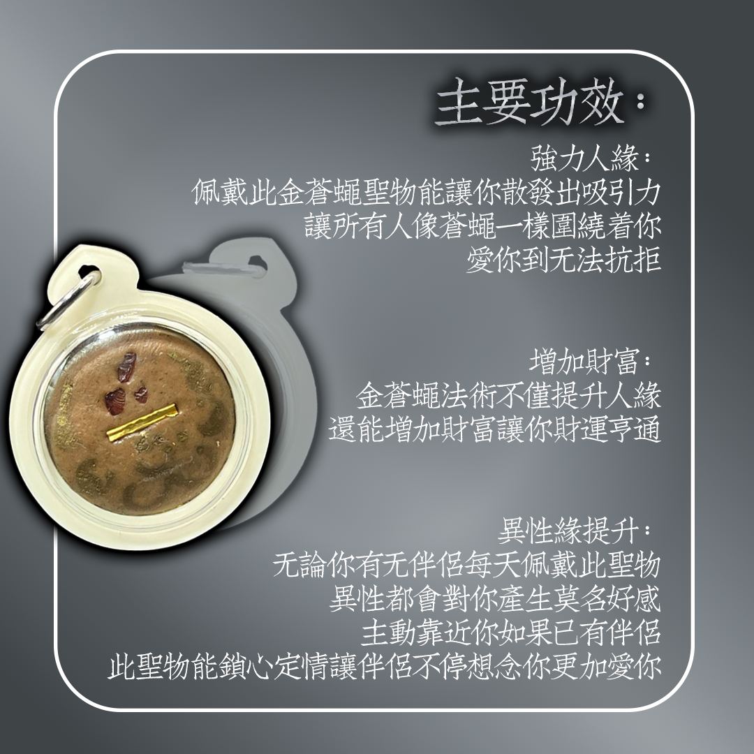 阿赞潘贤 第一期瓷面金苍蝇圣物【大模金底 纯金符管 2.8cm】
 | Jin Thai Fo Pai
