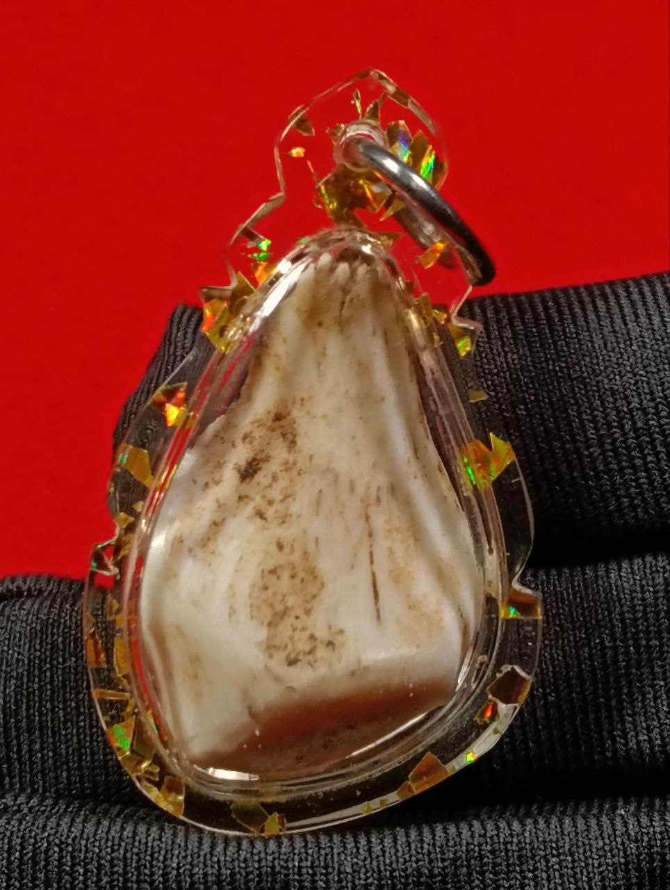 虎骨帕婴 | SAN Pin Selection