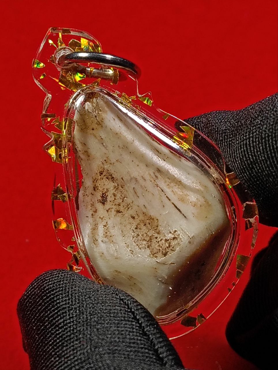 虎骨帕婴 | SAN Pin Selection