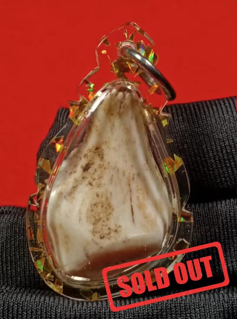 虎骨帕婴 | SAN Pin Selection