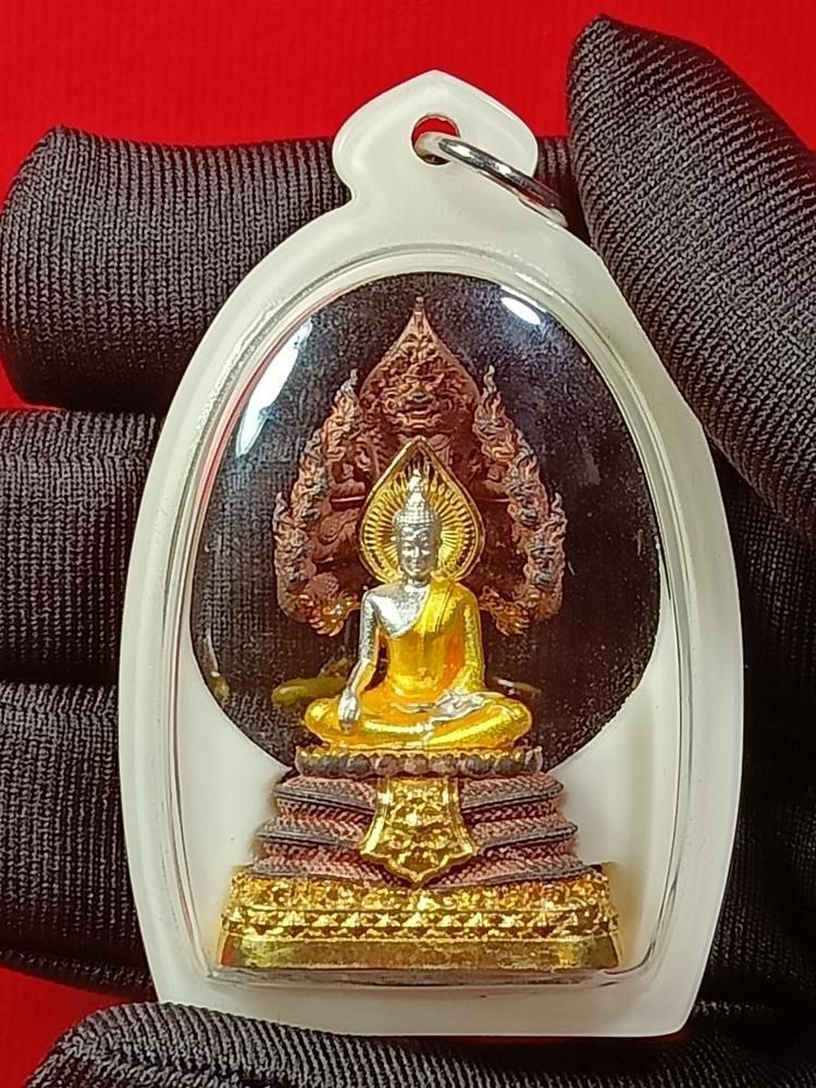 LP YAI WAI THAI BE.2567娜迦佛祖小金身（现物实拍）
 | Jin Thai Fo Pai