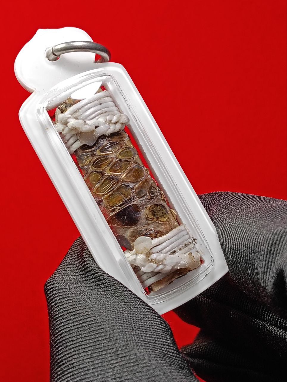 啊赞Mek——富裕吸财蛇皮符管 (白色防水壳）现物实拍 | Jin Thai Fo Pai