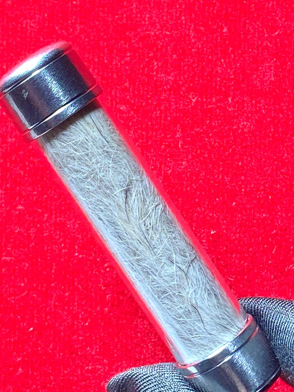 豹皮符管 | SAN Pin Selection