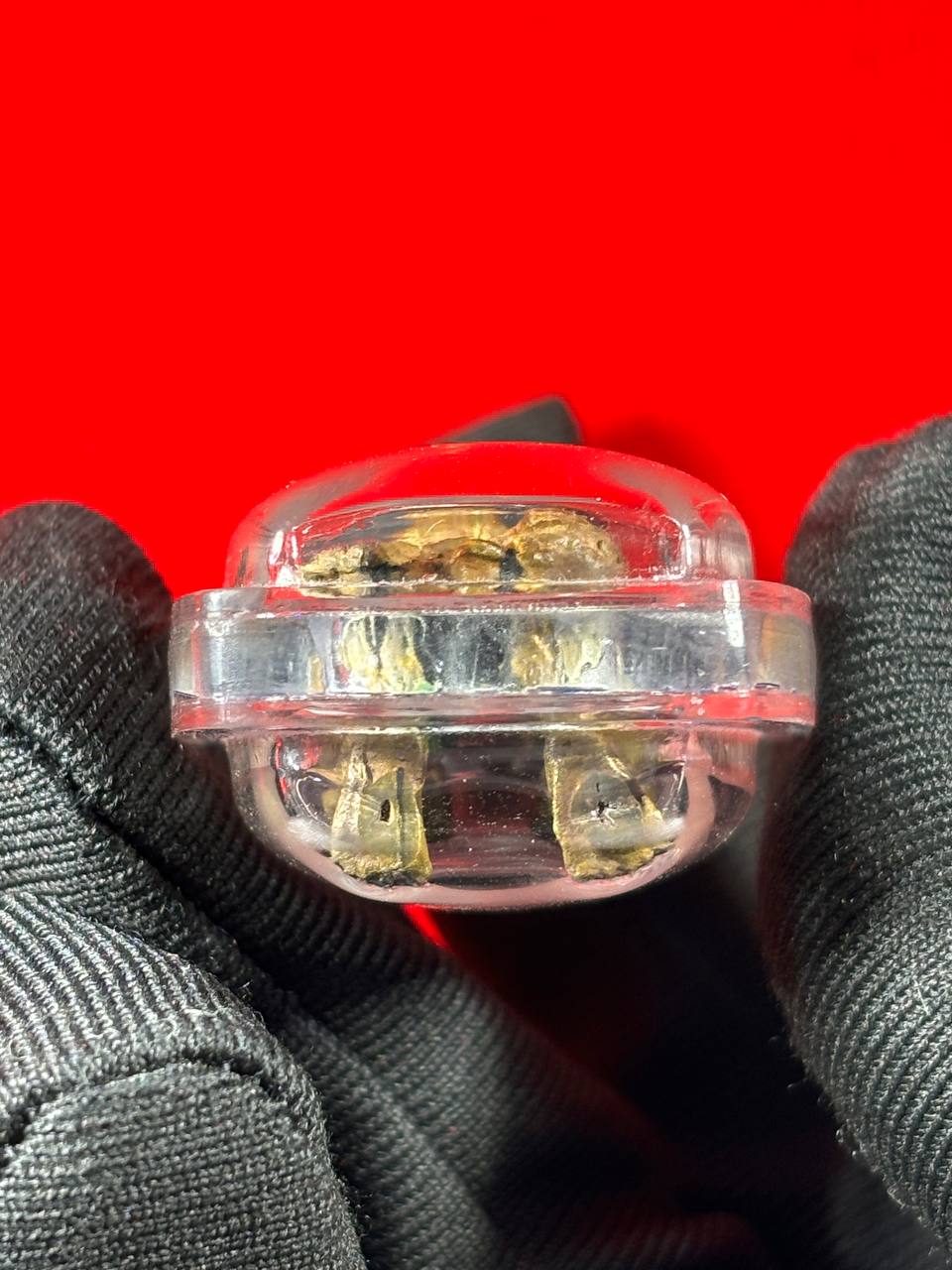 啊赞汶迪活跳跳古曼咕纳杜  | SAN Pin Selection