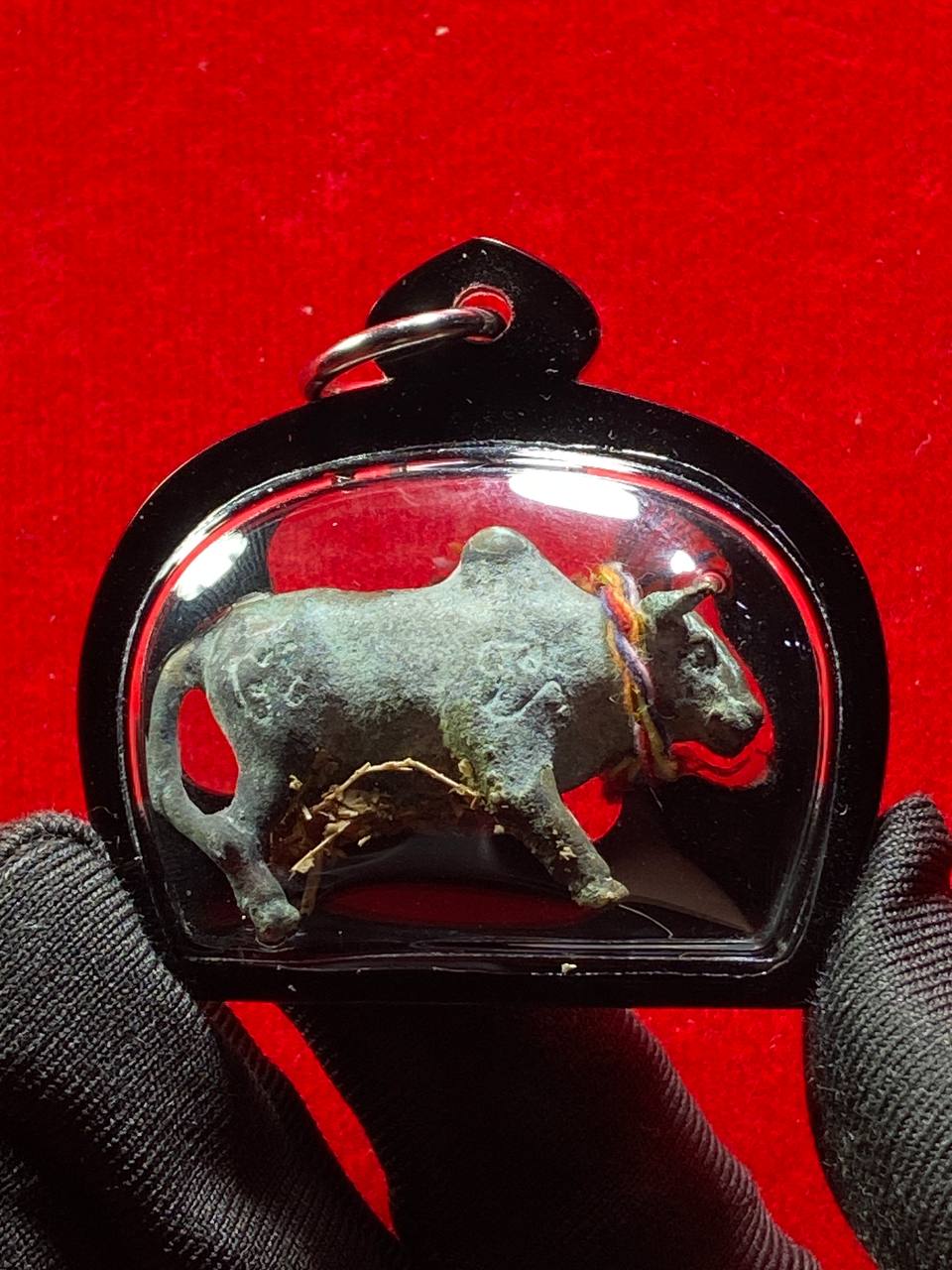 Jin Thai Fo Pai - PU MHOR TAMKHEN 富裕斗牛