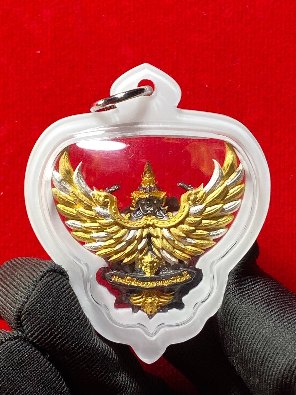  Lp Im神鹰佛 | SAN Pin Selection