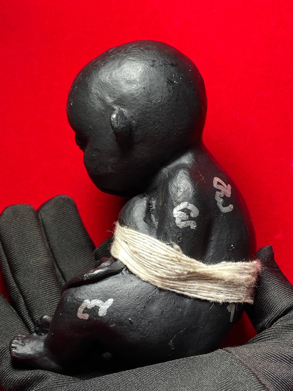 KRUBA KAMPENG古巴康斌吸脐带古曼（中型） | Jin Thai Fo Pai