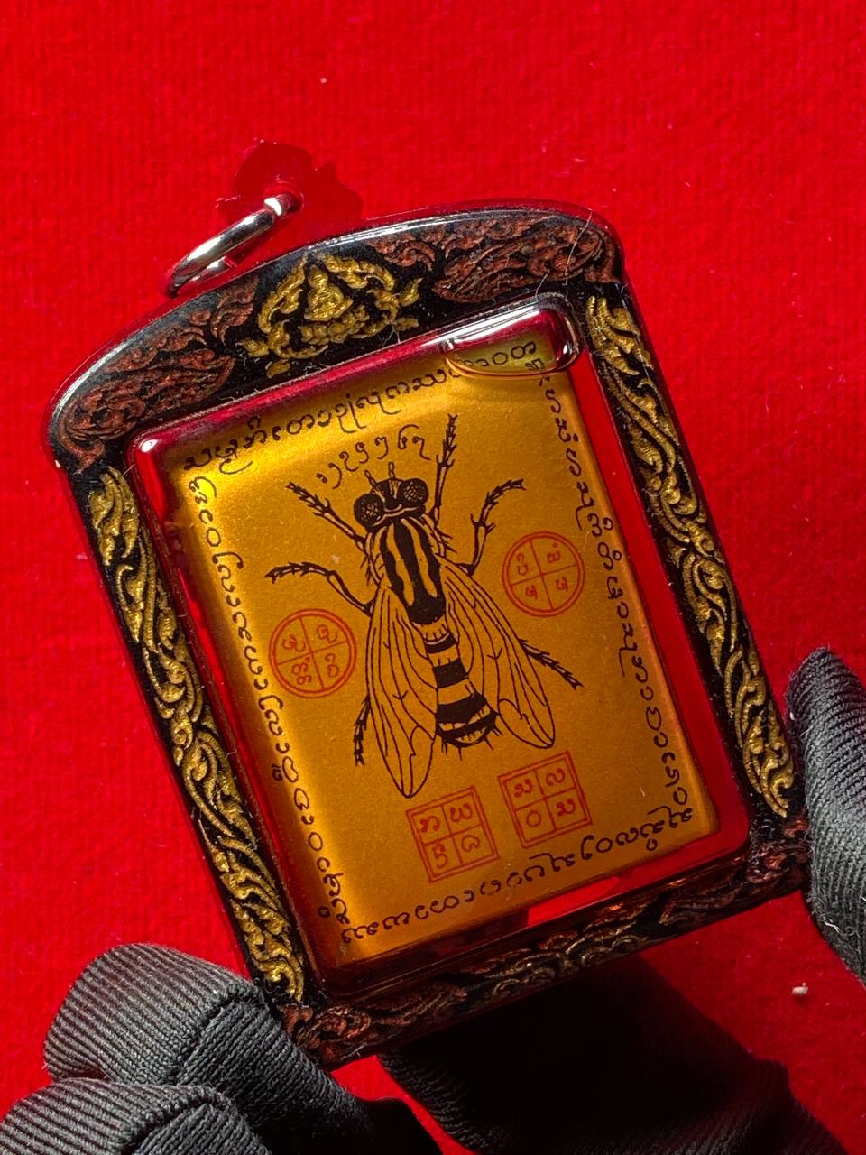 古巴宋猜 蘭納古法金苍蝇【浸油加強版】现物实拍
 | SAN Pin Selection