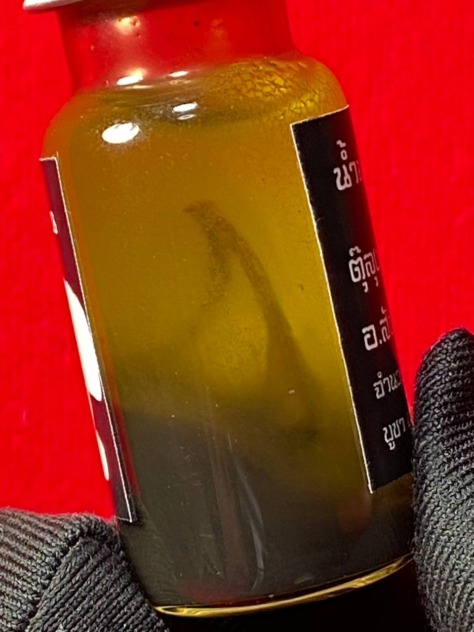 KRUBA TAO古巴涛马食能成愿油
 | Jin Thai Fo Pai