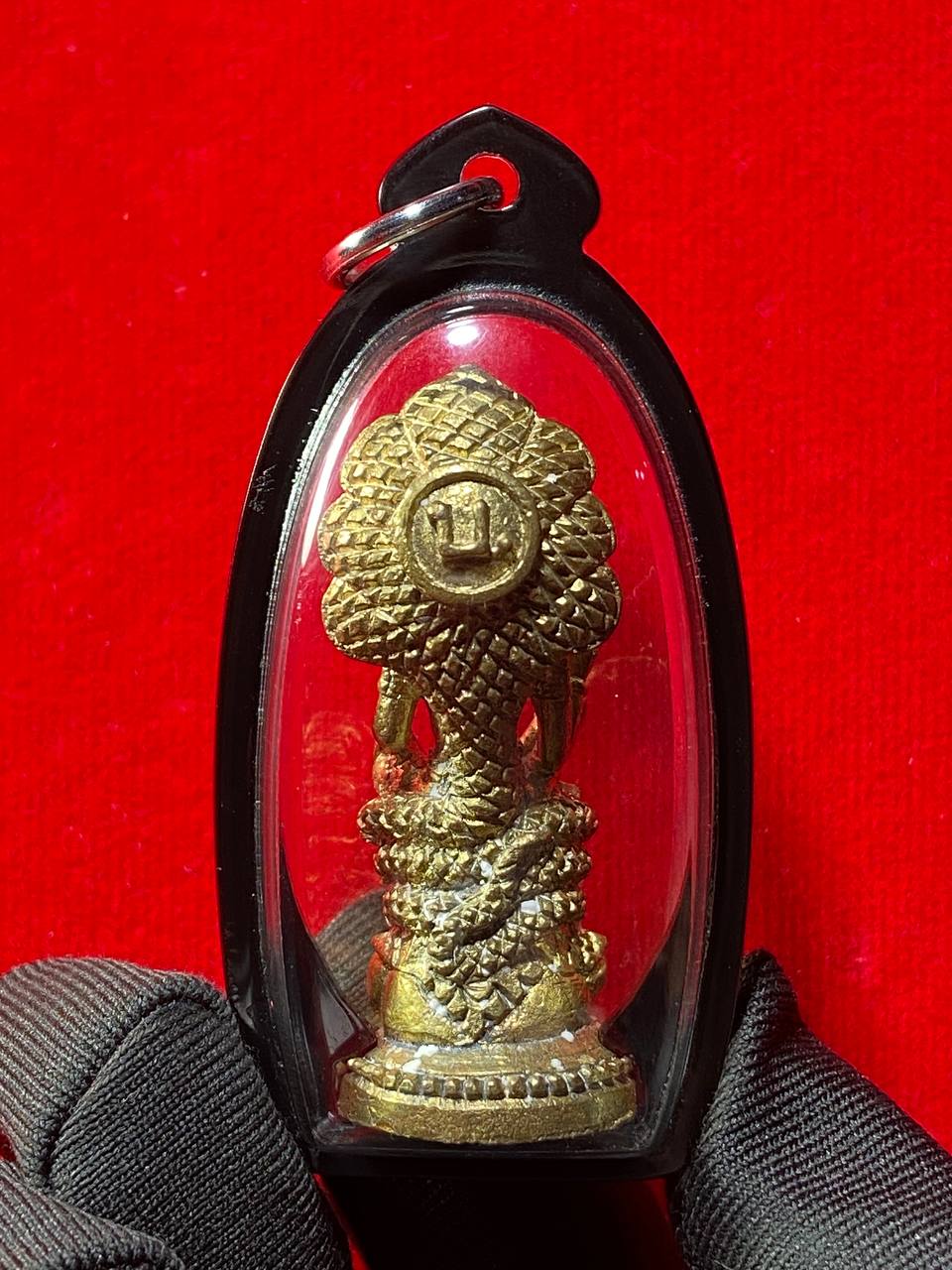 【泽度金拉玛玛贴｜AJ Bai师傅天启力作】 | Jin Thai Fo Pai