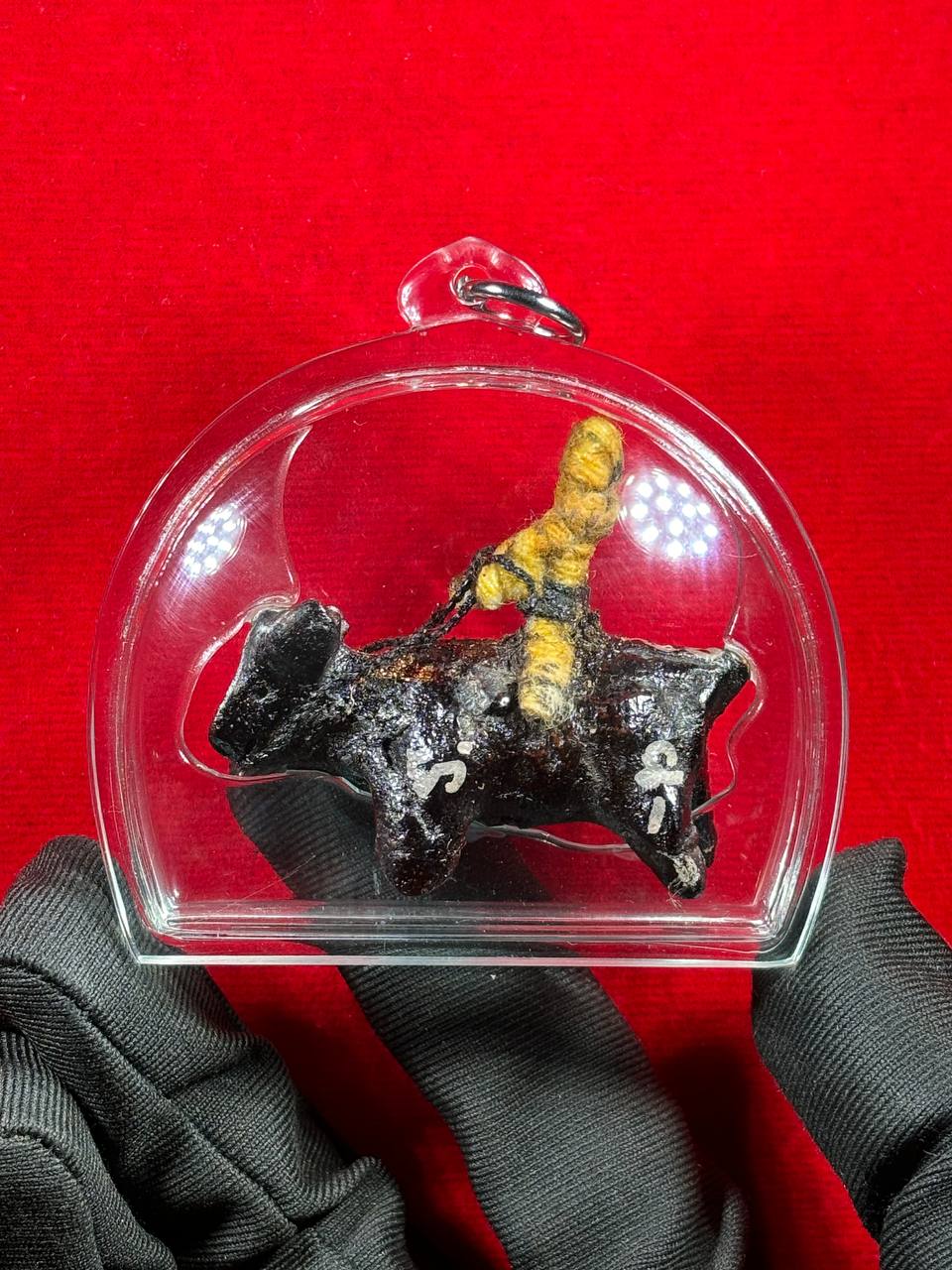 LP KONG 龙婆控魂魄勇骑斗牛 | Jin Thai Fo Pai