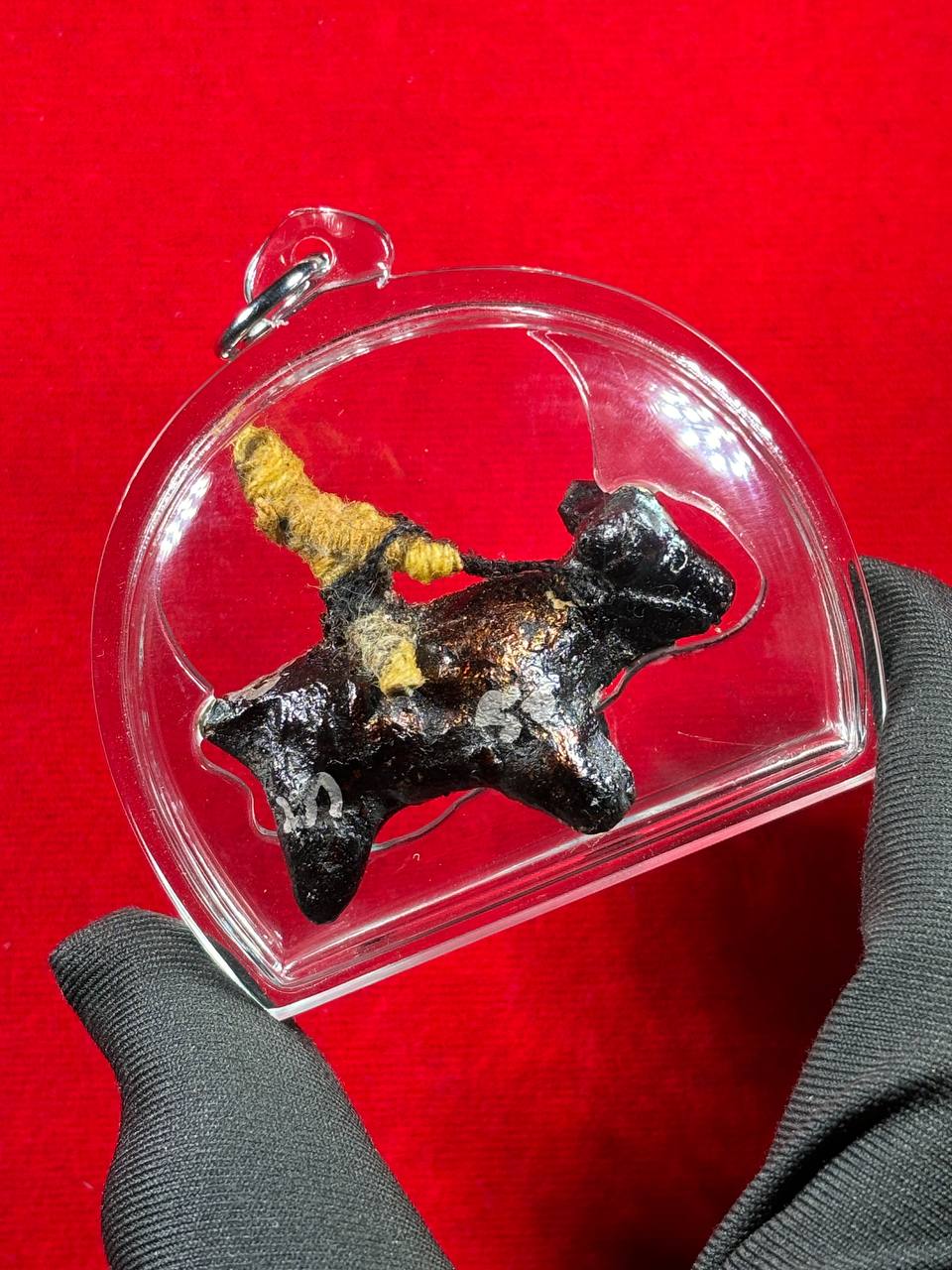 LP KONG 龙婆控魂魄勇骑斗牛 | Jin Thai Fo Pai