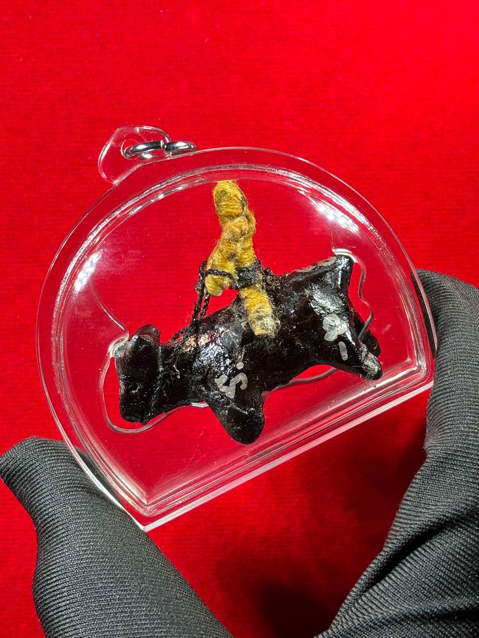 LP KONG 龙婆控魂魄勇骑斗牛 | Jin Thai Fo Pai