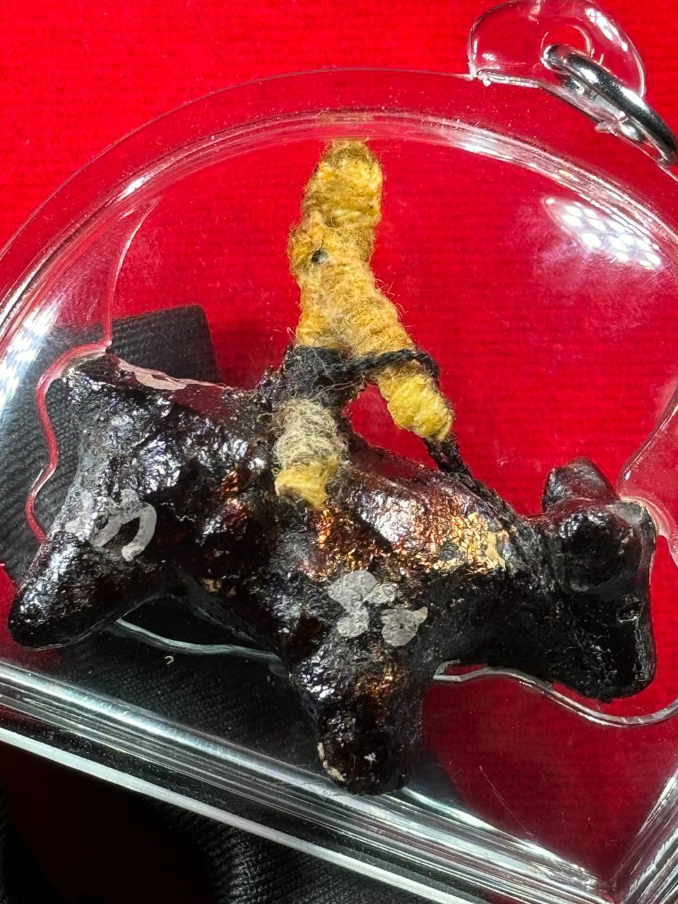 LP KONG 龙婆控魂魄勇骑斗牛 | Jin Thai Fo Pai