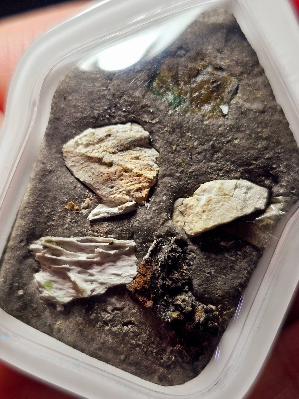 【柬埔寨黑法坤平将军】现物实拍 | SAN Pin Selection