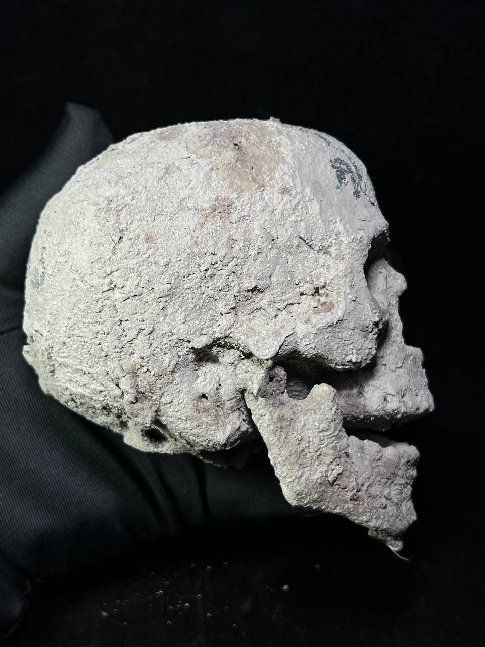 【柬埔寨黑巫鬼耳报咕噜头】现物实拍 | Jin Thai Fo Pai