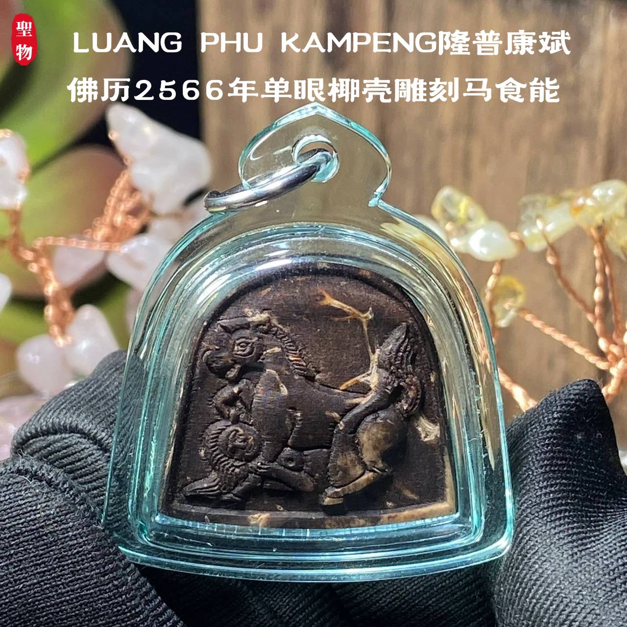 LUANG PHU KAMPENG隆普康斌佛历2566年单眼椰壳雕刻马食能
（透明亚克力防水壳） | Jin Thai Fo Pai