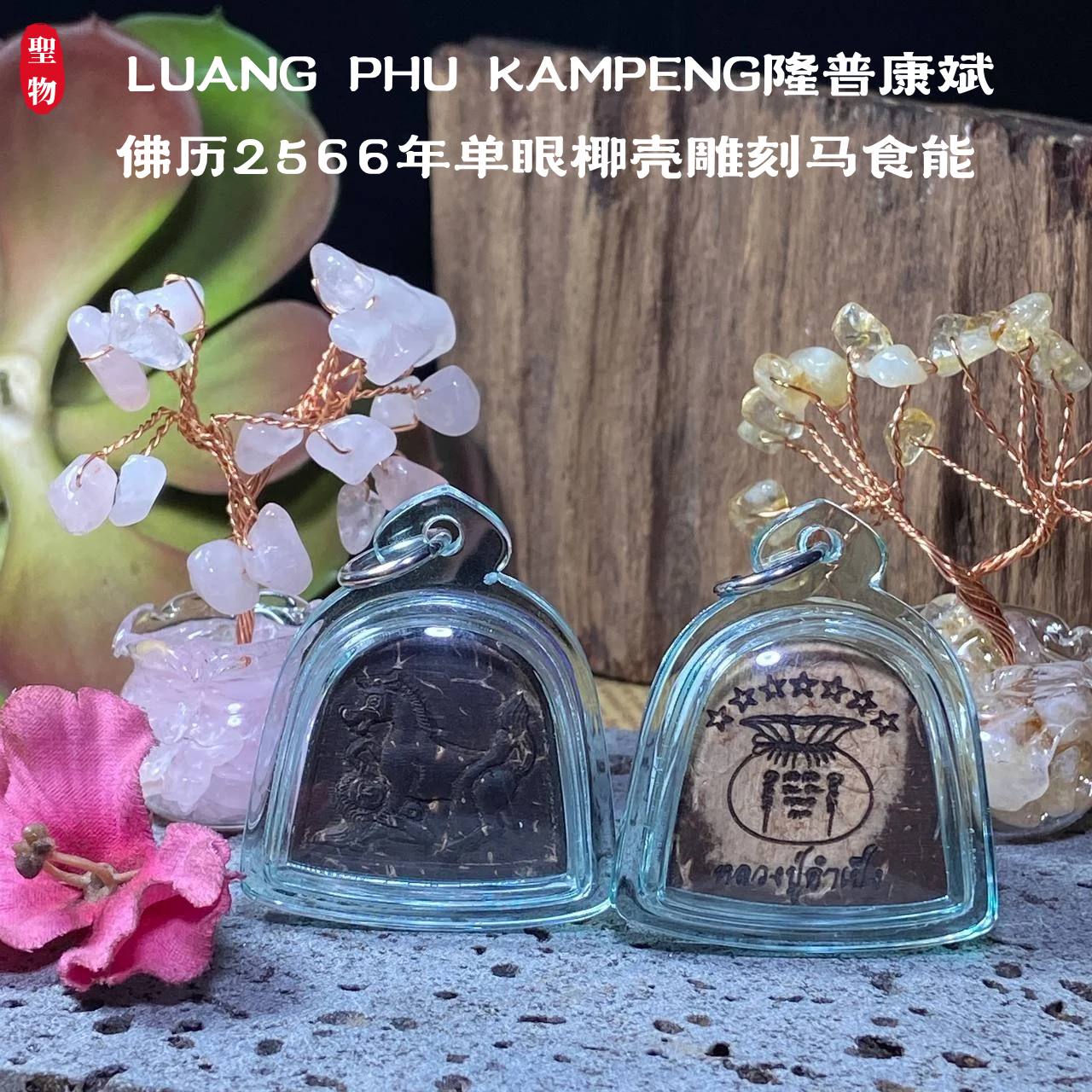 LUANG PHU KAMPENG隆普康斌佛历2566年单眼椰壳雕刻马食能
（透明亚克力防水壳） | Jin Thai Fo Pai