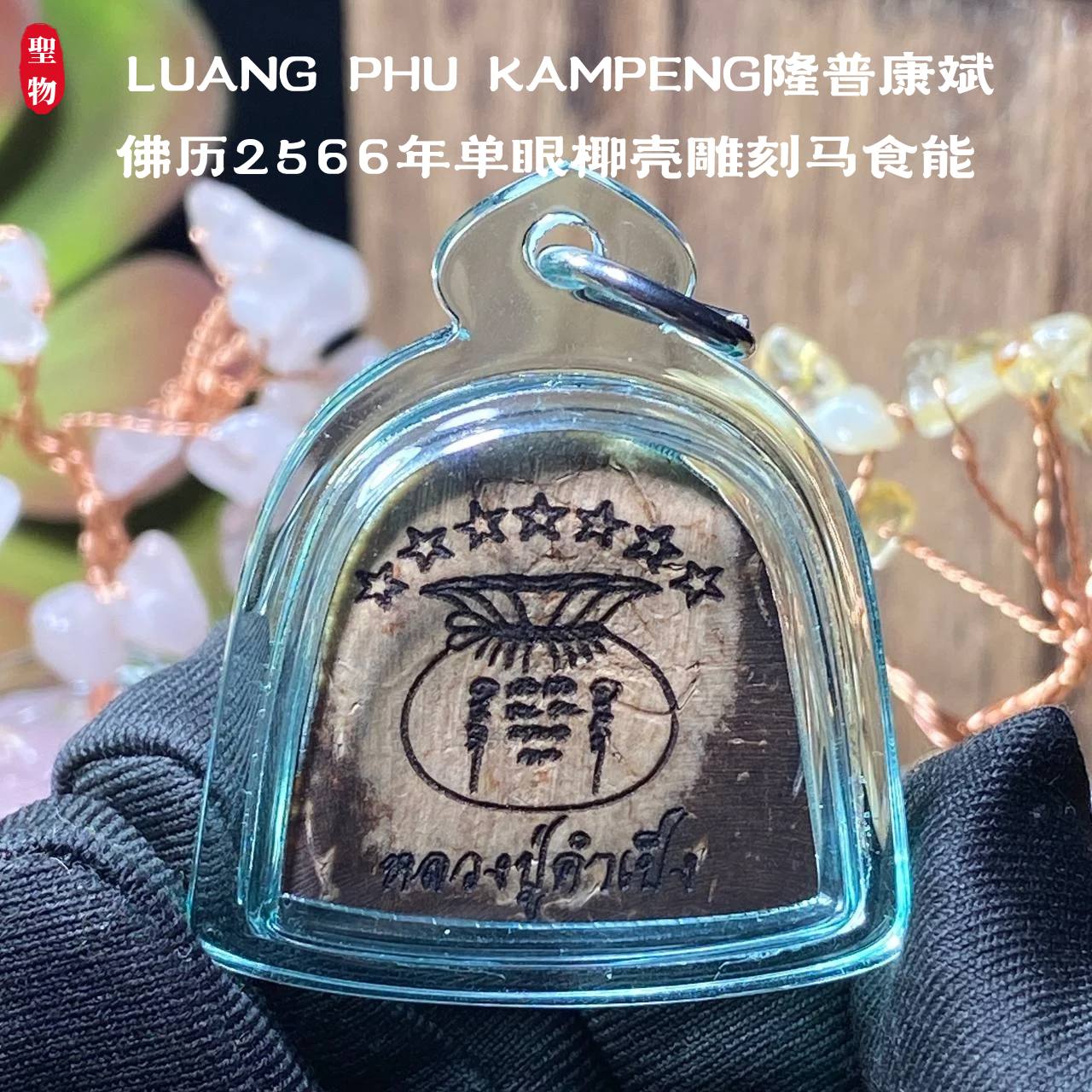 LUANG PHU KAMPENG隆普康斌佛历2566年单眼椰壳雕刻马食能
（透明亚克力防水壳） | Jin Thai Fo Pai