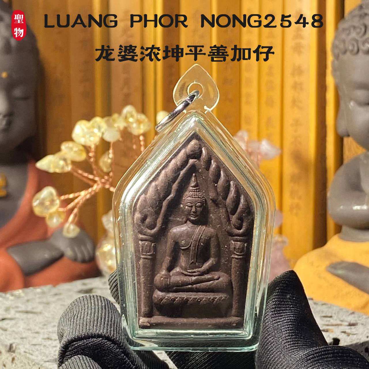 LUANG PHOR NONG2548龙婆浓坤平善加仔（黑褐色） | Jin Thai Fo Pai
