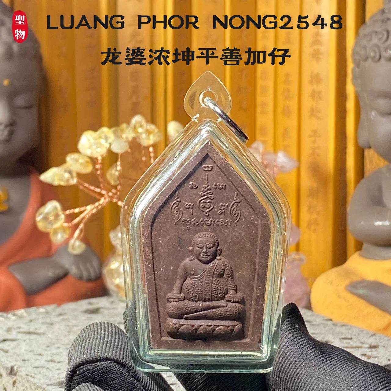 LUANG PHOR NONG2548龙婆浓坤平善加仔（黑褐色） | Jin Thai Fo Pai
