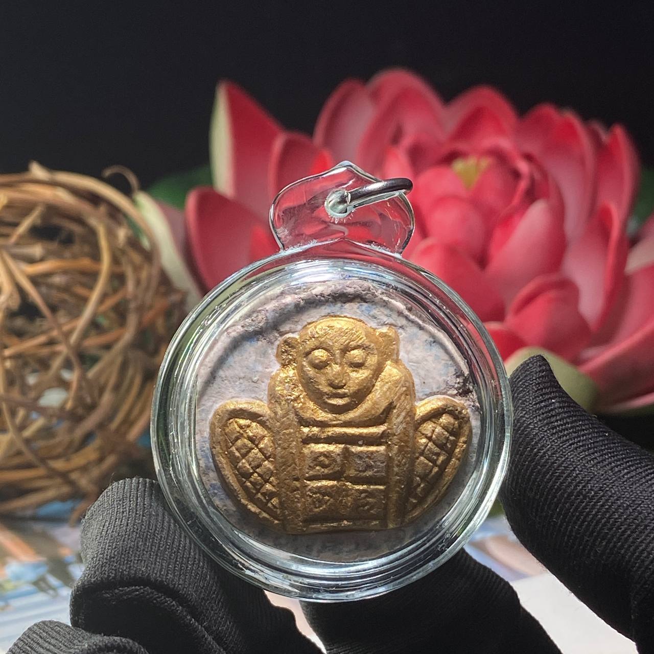 ARCHAN BOY阿赞拜罕见稀有天灵盖(现物实拍）
 | Jin Thai Fo Pai