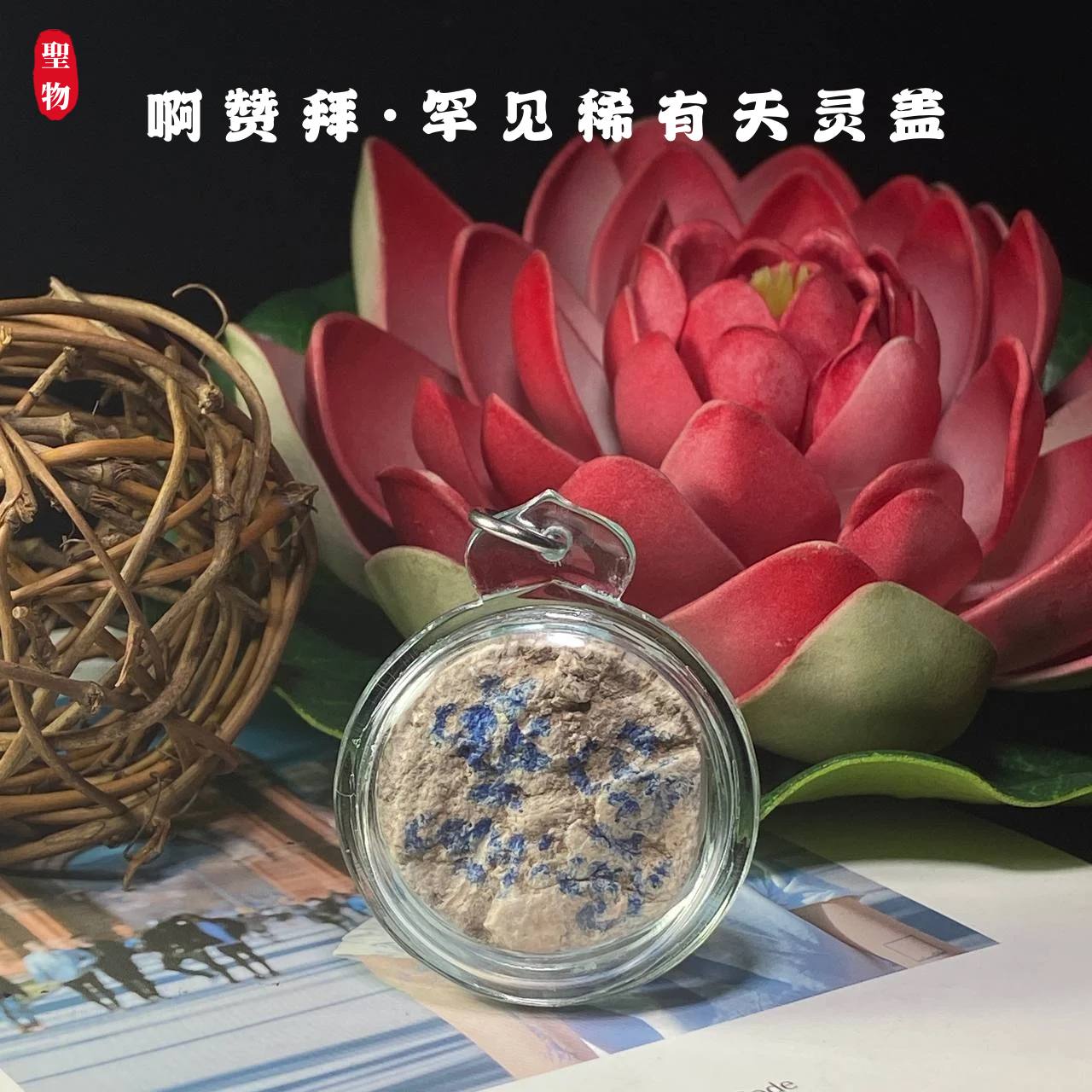 ARCHAN BOY阿赞拜罕见稀有天灵盖(现物实拍）
 | Jin Thai Fo Pai