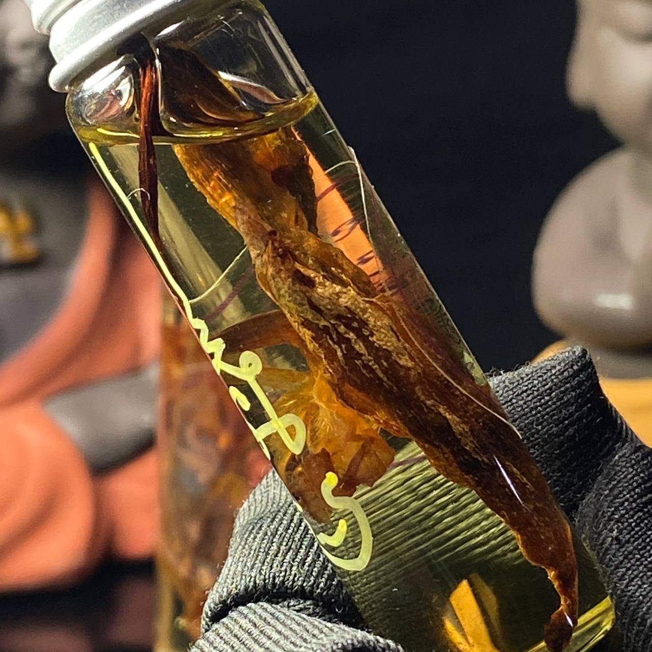 阿赞烈扭转乾坤红鸡花湾油
 | SAN Pin Selection