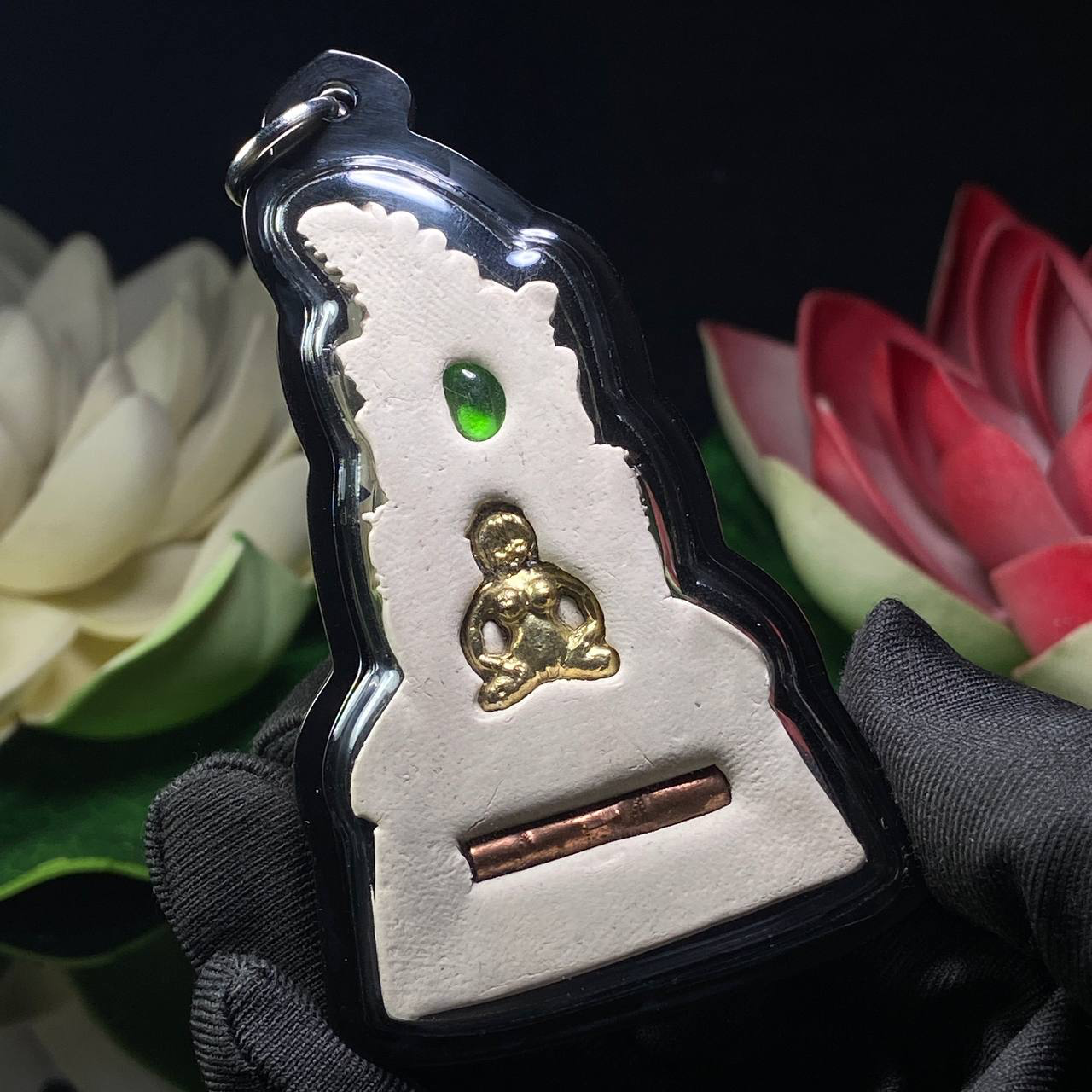 古巴康斌亲自加持——化敌为友红眼帕罂 | SAN Pin Selection