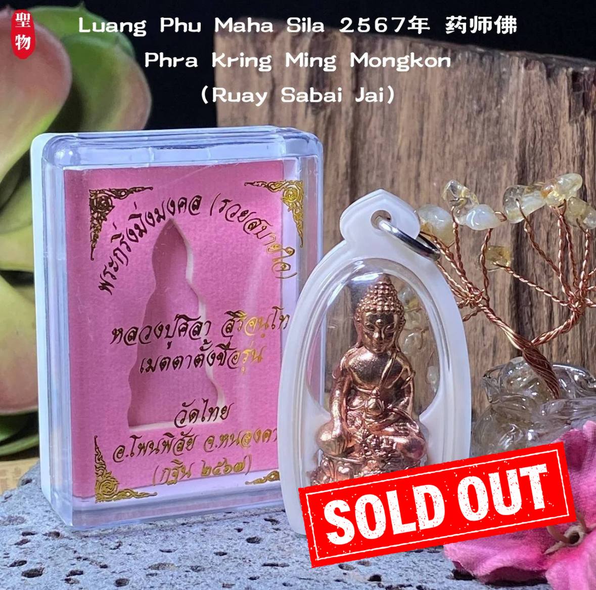 Jin Thai Fo Pai - 【Luang Phu Maha Sila 2567年 药师佛Phra Kring Ming Mongkon（Ruay Sabai Jai）】现物实拍