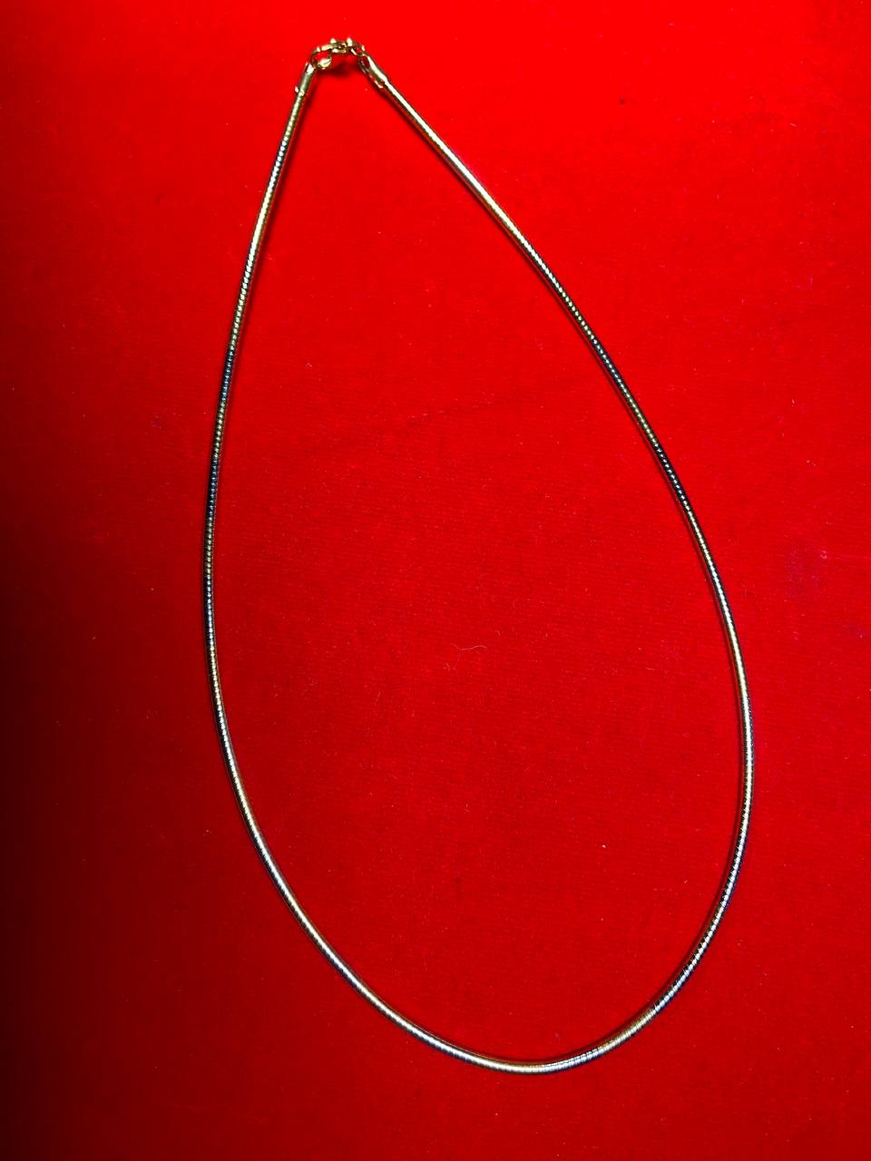 Jin Thai Fo Pai - 佛牌项链