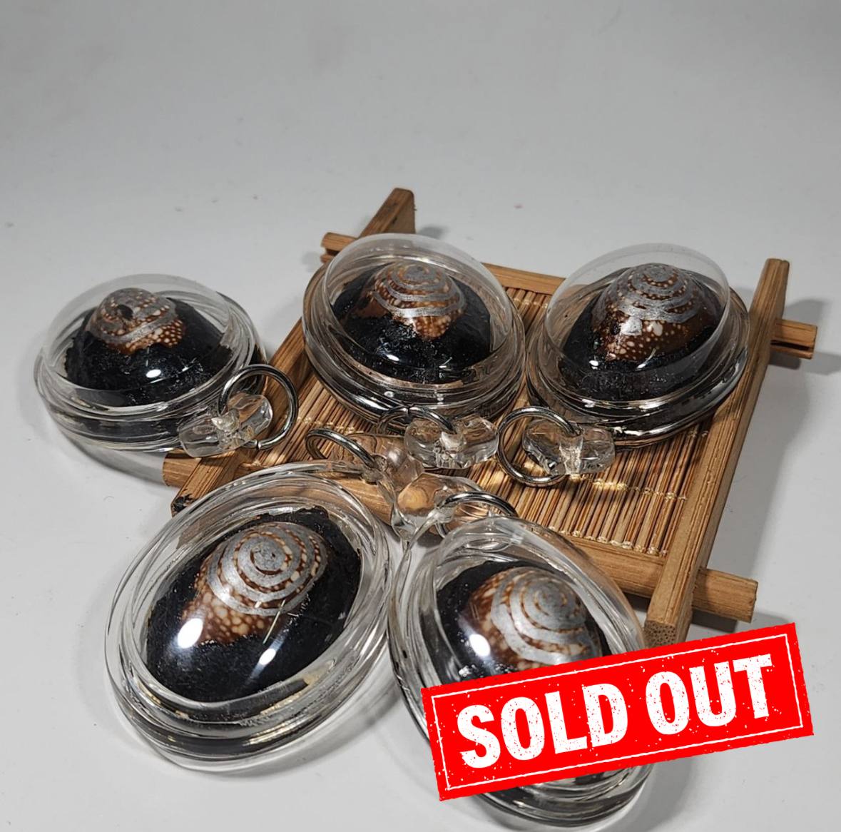 Jin Thai Fo Pai - ARCHAN CHAI啊赞蔡挡降贝