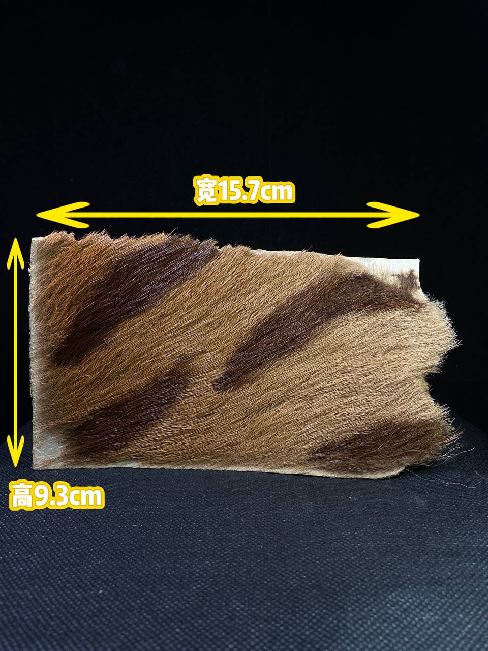 Jin Thai Fo Pai - Tiger Skin Takrut — LP Pern | Wat Bang Phra B.E.2535（实物拍摄）