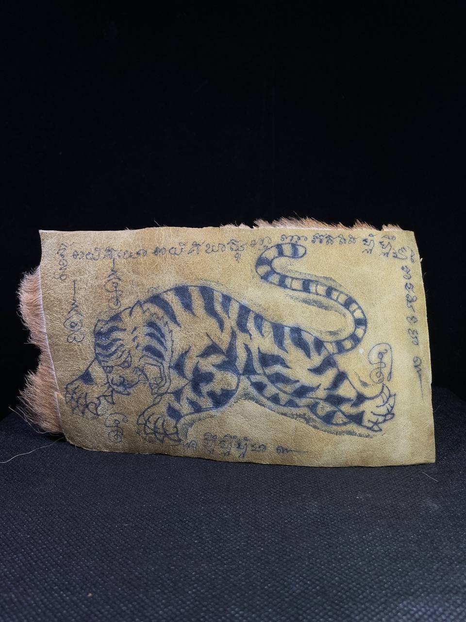 Tiger Skin Takrut — LP Pern | Wat Bang Phra B.E.2535（实物拍摄） | Jin Thai Fo Pai