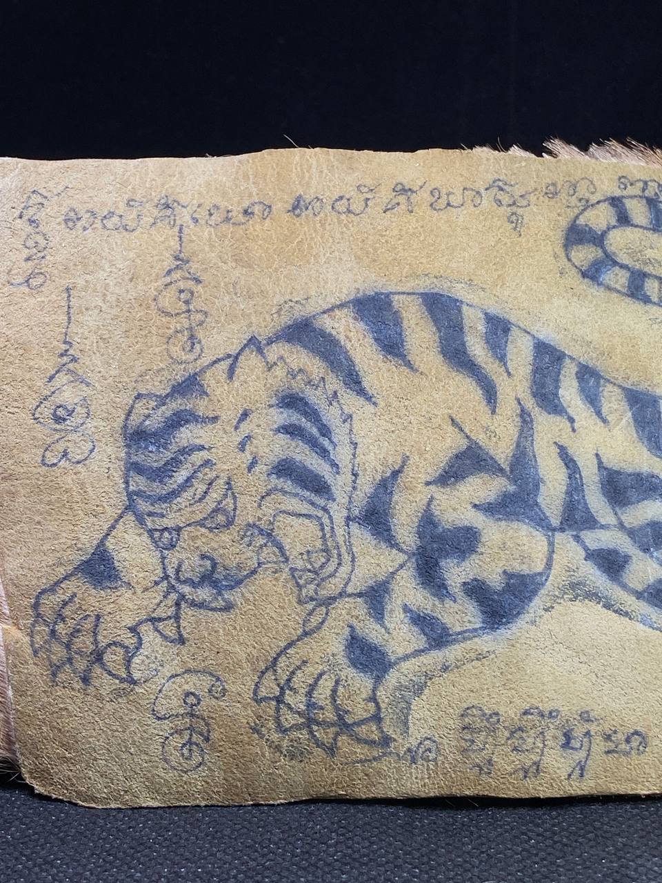 Tiger Skin Takrut — LP Pern | Wat Bang Phra B.E.2535（实物拍摄） | Jin Thai Fo Pai