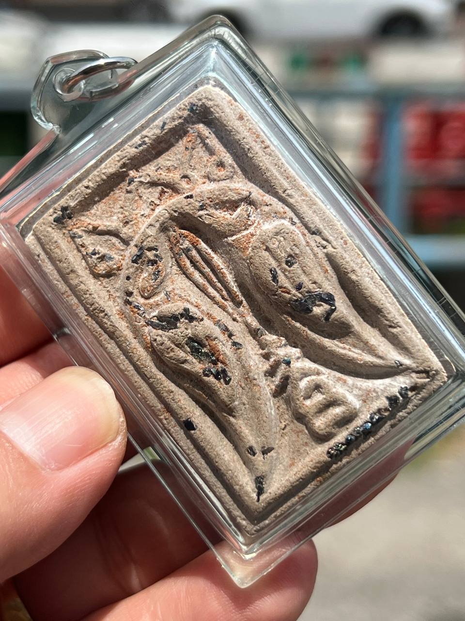 KRUBA KRISSANA 古巴吉沙那 — 萨利卡人缘鸟（Salika）现物实拍 | SAN Pin Selection