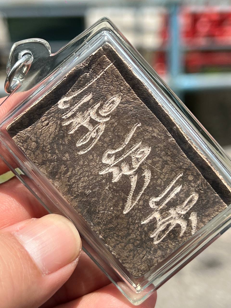 KRUBA KRISSANA 古巴吉沙那 — 萨利卡人缘鸟（Salika）现物实拍 | SAN Pin Selection