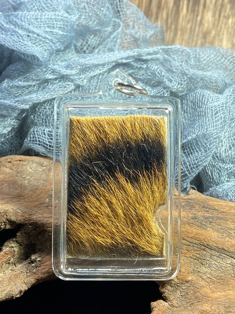 Jin Thai Fo Pai - Nang Ser 虎皮圣牌 
阿占潘雅 Archan Phanyat｜素可泰 Sukhothai
佛历 2568 年