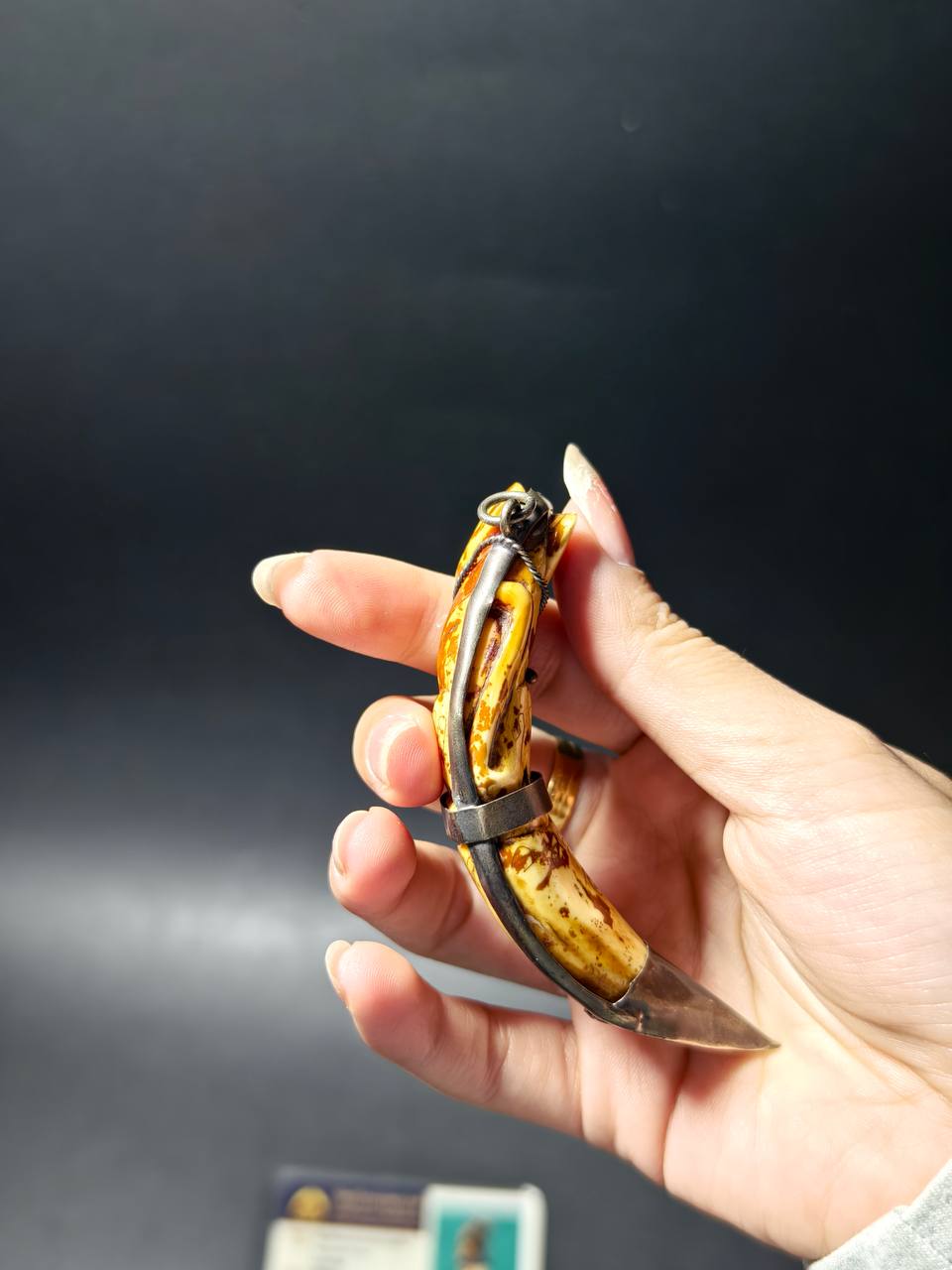 龙婆本｜B.E.2538 孤品天然老虎牙虎王｜手工雕刻・鉴定卡｜68030336｜现货实拍 | Jin Thai Fo Pai